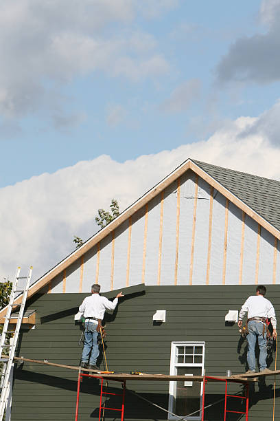 Best Brick Veneer Siding  in Burley, ID