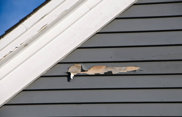 Best Residential Vinyl Siding Installation  in Burley, ID